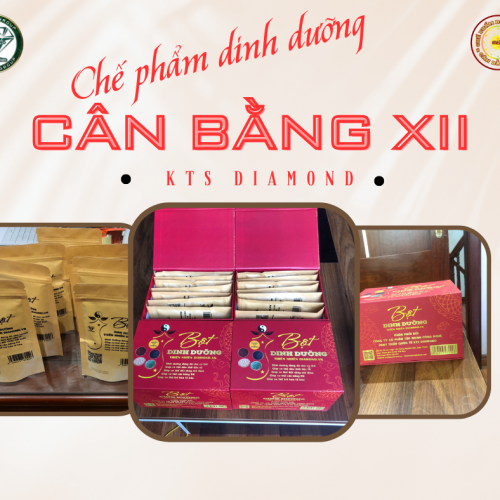 CHẾ PHẨM DINH DƯỞNG CÂN BẰNG XII KTS DIAMOND