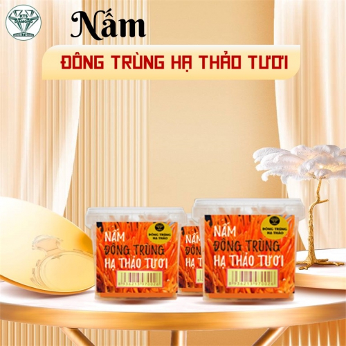 NẤM ĐÔNG TRÙNG HẠ THẢO TƯƠI KTS DIAMOND 220G