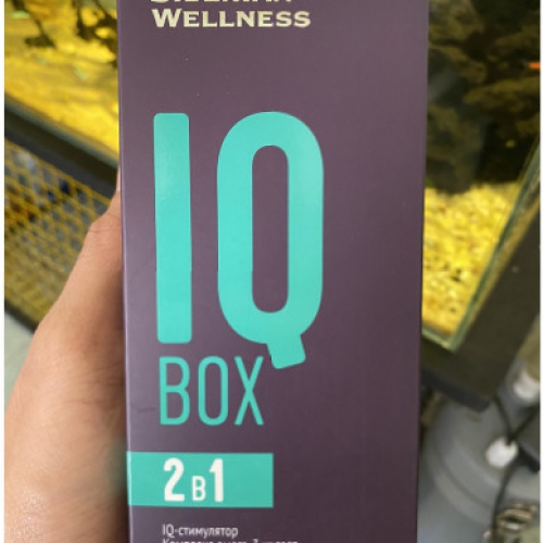 IQ BOX 